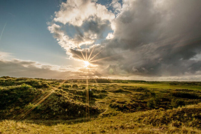 De zon schijnt over de duinen van Terschelling.